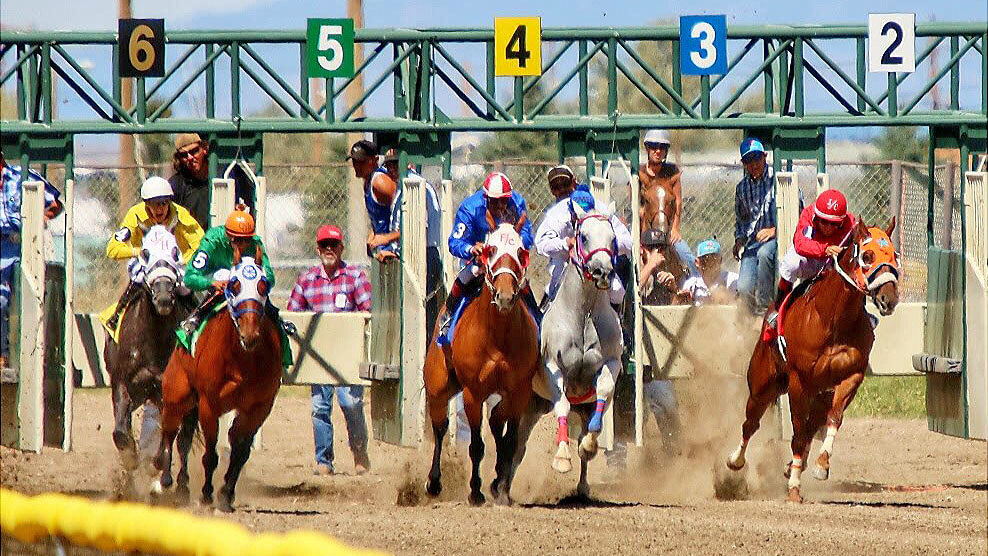 Opening Day of White Pine County Fair! - Travel Time NV